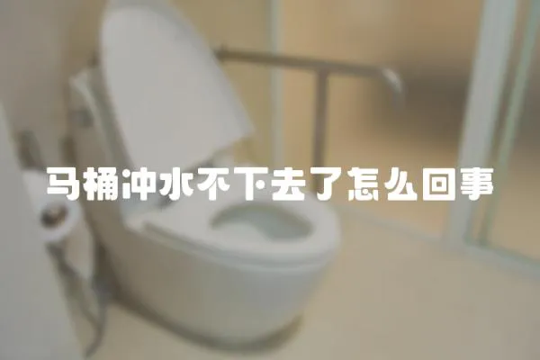 馬桶沖水不下去了怎么回事