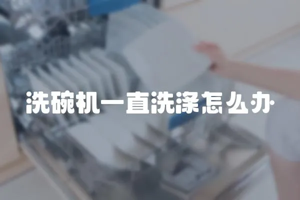 洗碗機(jī)一直洗滌怎么辦