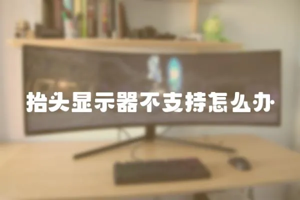 抬頭顯示器不支持怎么辦
