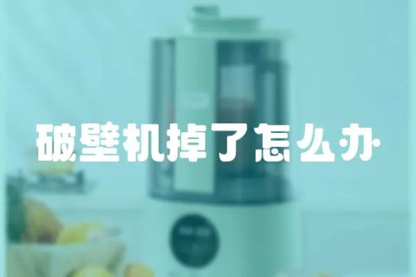 破壁機掉了怎么辦