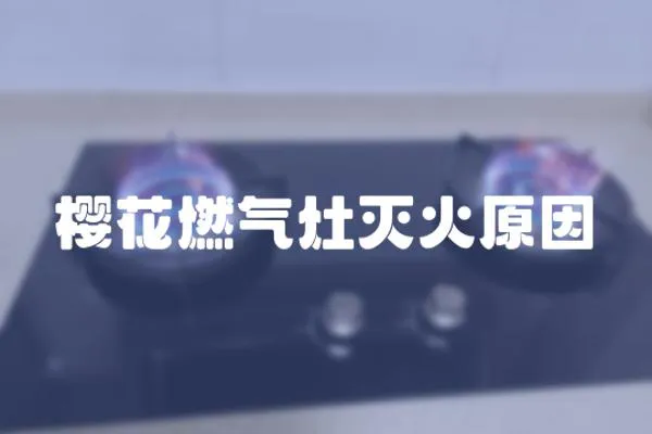 櫻花燃?xì)庠顪缁鹪?></a></div>
                    <div   id=