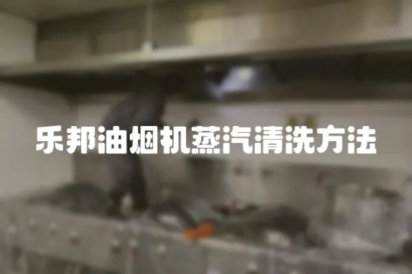 樂邦油煙機(jī)蒸汽清洗方法