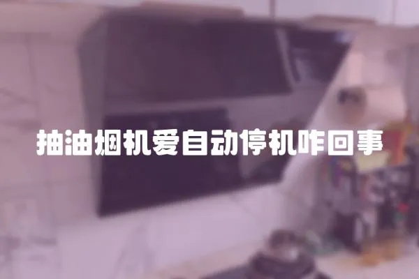 抽油煙機愛自動停機咋回事