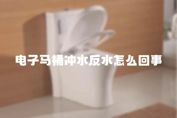 電子馬桶沖水反水怎么回事