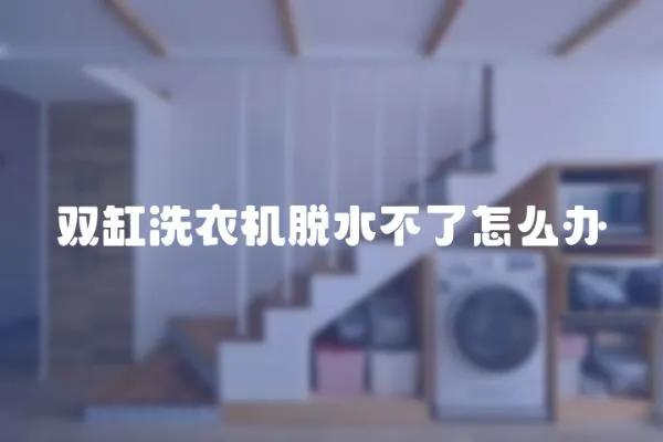 雙缸洗衣機脫水不了怎么辦