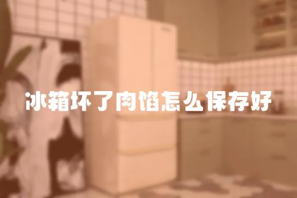 冰箱壞了肉餡怎么保存好