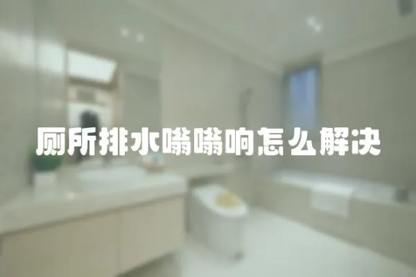 廁所排水嗡嗡響怎么解決