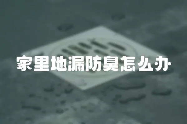 家里地漏防臭怎么辦