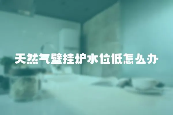 天然氣壁掛爐水位低怎么辦