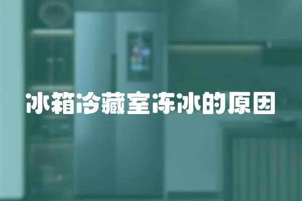 冰箱冷藏室凍冰的原因