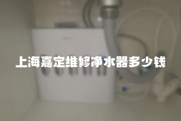 上海嘉定維修凈水器多少錢