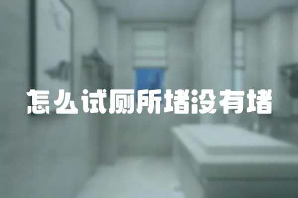 怎么試廁所堵沒有堵