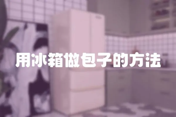 用冰箱做包子的方法