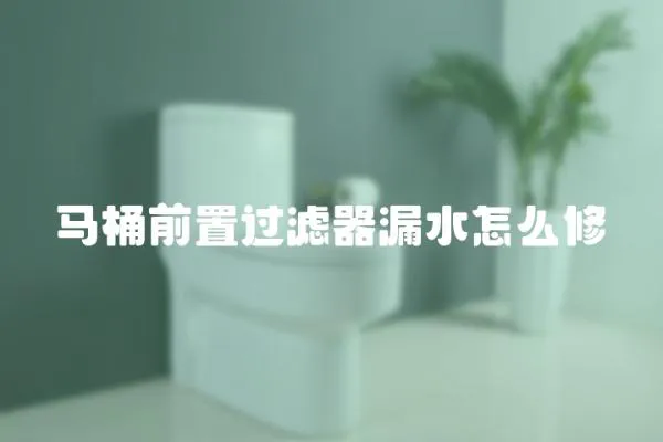 馬桶前置過濾器漏水怎么修