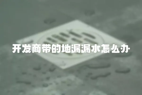 開發(fā)商帶的地漏漏水怎么辦