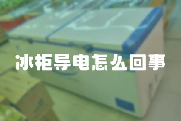 冰柜導電怎么回事