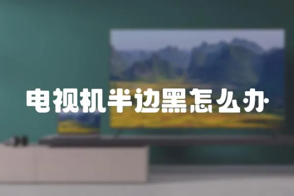 電視機(jī)半邊黑怎么辦
