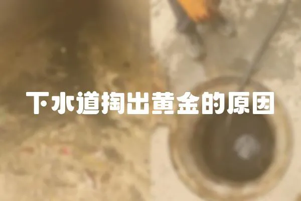 下水道掏出黃金的原因