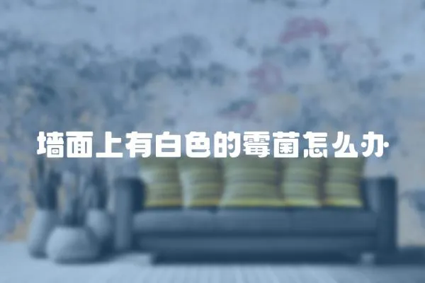 墻面上有白色的霉菌怎么辦