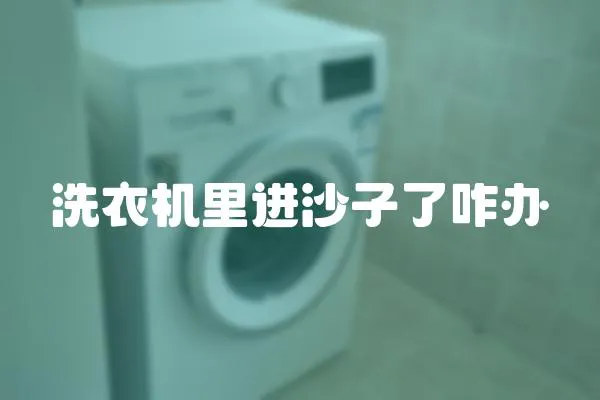 洗衣機里進沙子了咋辦