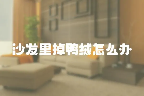 沙發里掉鴨絨怎么辦