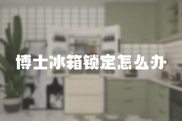 博士冰箱鎖定怎么辦