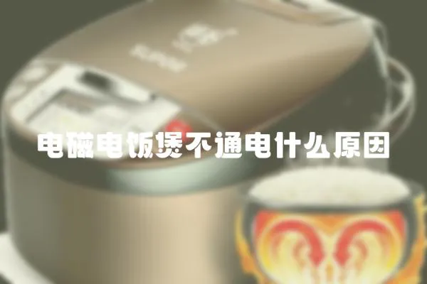 電磁電飯煲不通電什么原因