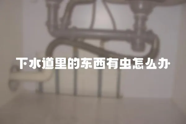 下水道里的東西有蟲怎么辦