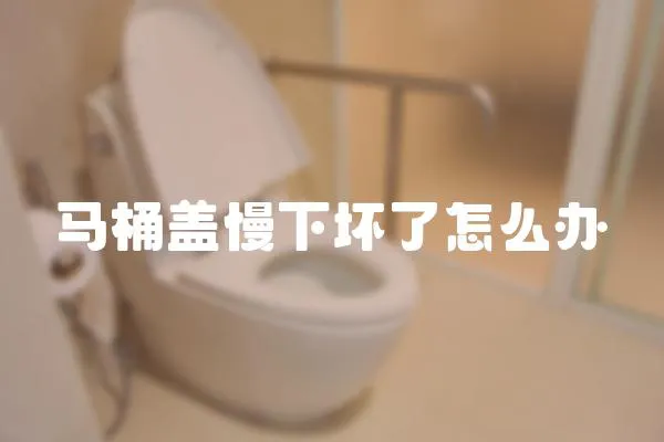 馬桶蓋慢下壞了怎么辦