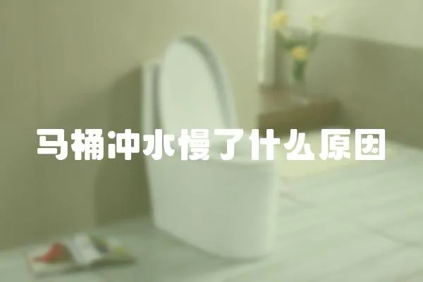 馬桶沖水慢了什么原因