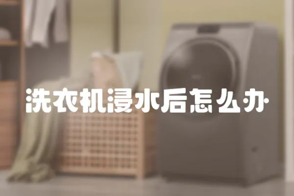 洗衣機浸水后怎么辦