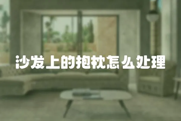 沙發上的抱枕怎么處理
