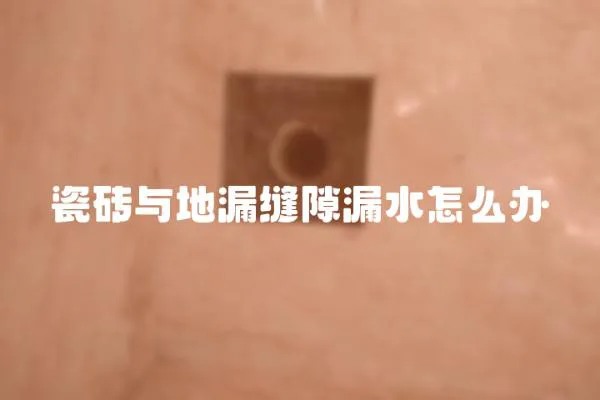 瓷磚與地漏縫隙漏水怎么辦