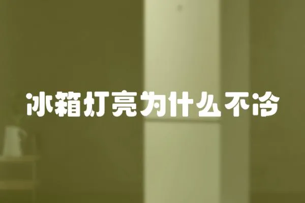 冰箱燈亮為什么不冷