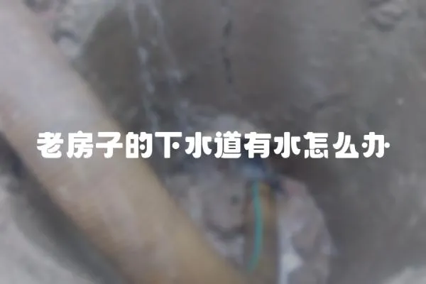 老房子的下水道有水怎么辦
