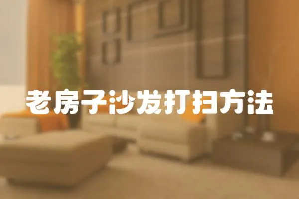 老房子沙發打掃方法