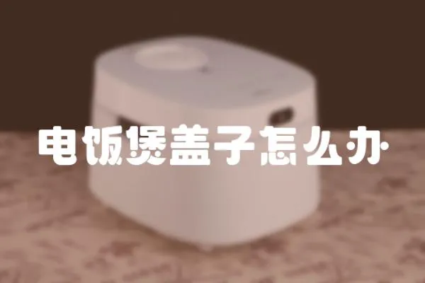 電飯煲蓋子怎么辦