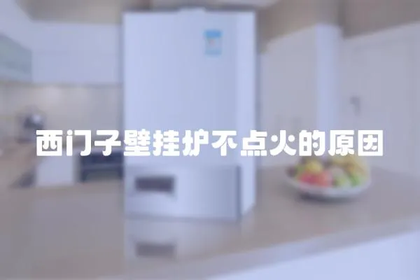 西門(mén)子壁掛爐不點(diǎn)火的原因