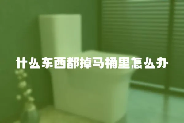 什么東西都掉馬桶里怎么辦