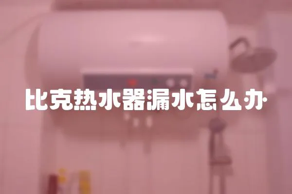 比克熱水器漏水怎么辦