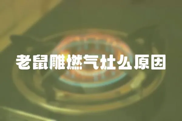 老鼠雕燃氣灶么原因
