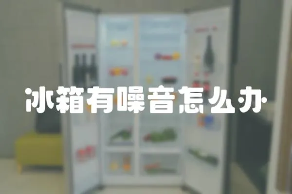 冰箱有噪音怎么辦