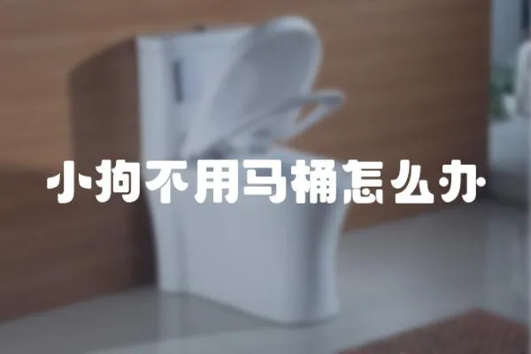 小狗不用馬桶怎么辦