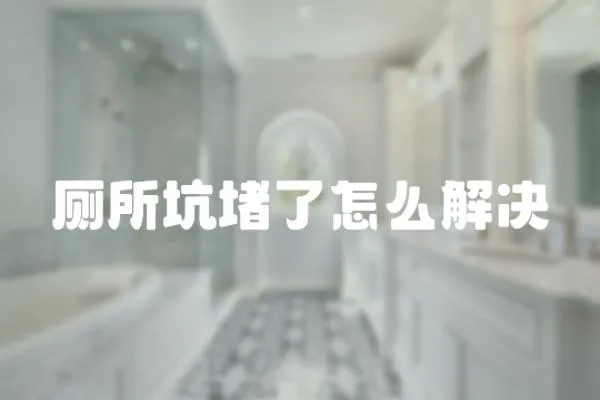 廁所坑堵了怎么解決