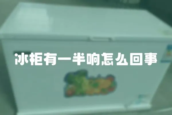 冰柜有一半響怎么回事