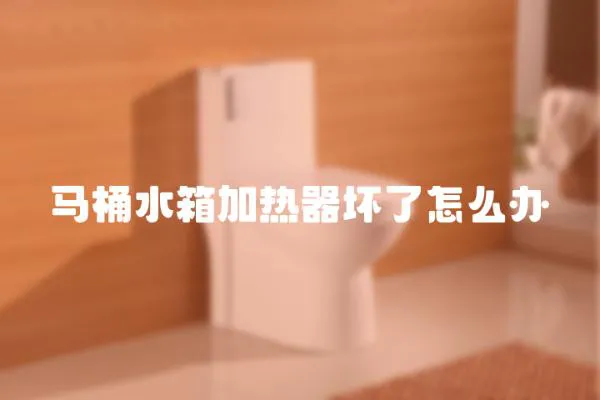 馬桶水箱加熱器壞了怎么辦