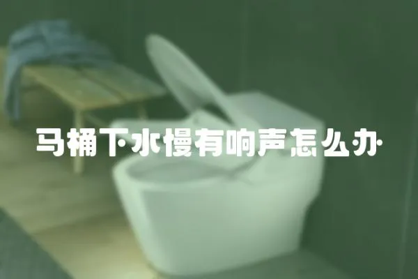 馬桶下水慢有響聲怎么辦