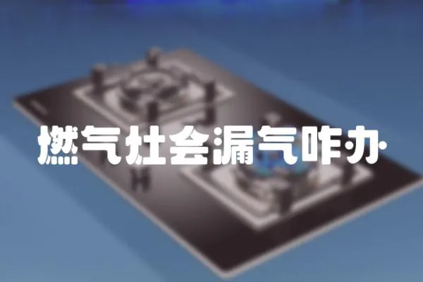 燃氣灶會漏氣咋辦