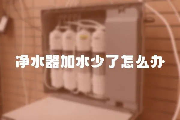 凈水器加水少了怎么辦
