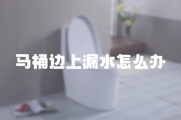 馬桶邊上漏水怎么辦
